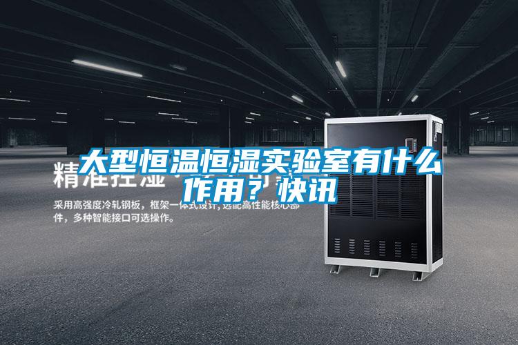 大型恒溫恒濕實驗室有什么作用？快訊