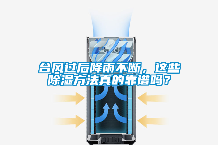 臺(tái)風(fēng)過后降雨不斷，這些除濕方法真的靠譜嗎？