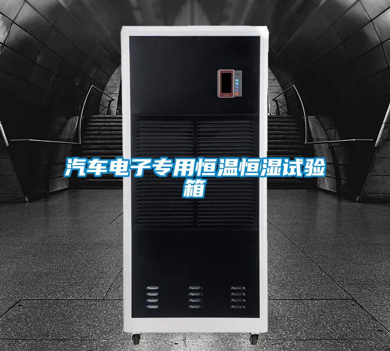 汽車(chē)電子專用恒溫恒濕試驗(yàn)箱