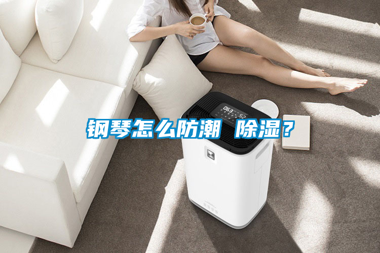 鋼琴怎么防潮 除濕？