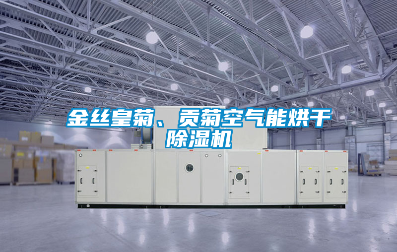 金絲皇菊、貢菊空氣能烘干除濕機(jī)