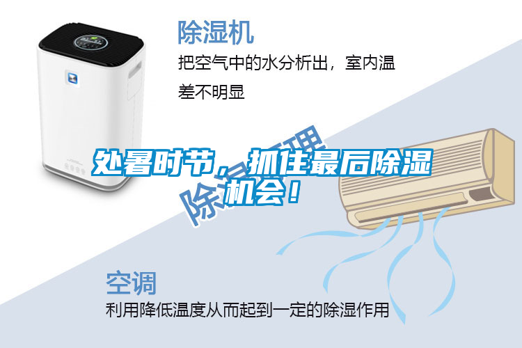 處暑時(shí)節(jié)，抓住最后除濕機(jī)會(huì)！