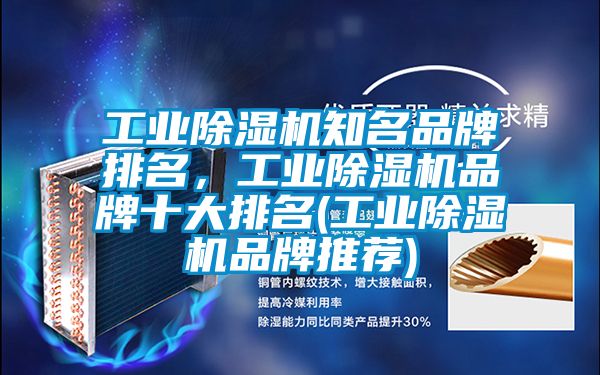 工業(yè)除濕機知名品牌排名，工業(yè)除濕機品牌十大排名(工業(yè)除濕機品牌推薦)