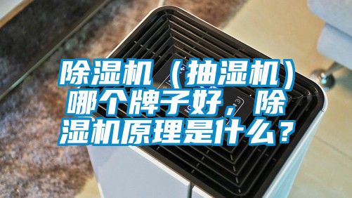 除濕機(jī)（抽濕機(jī)）哪個(gè)牌子好，除濕機(jī)原理是什么？