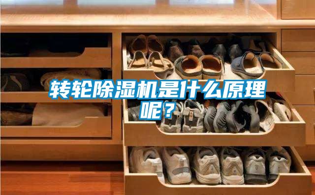 轉(zhuǎn)輪除濕機(jī)是什么原理呢？