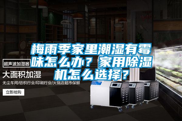 梅雨季家里潮濕有霉味怎么辦？家用除濕機怎么選擇？