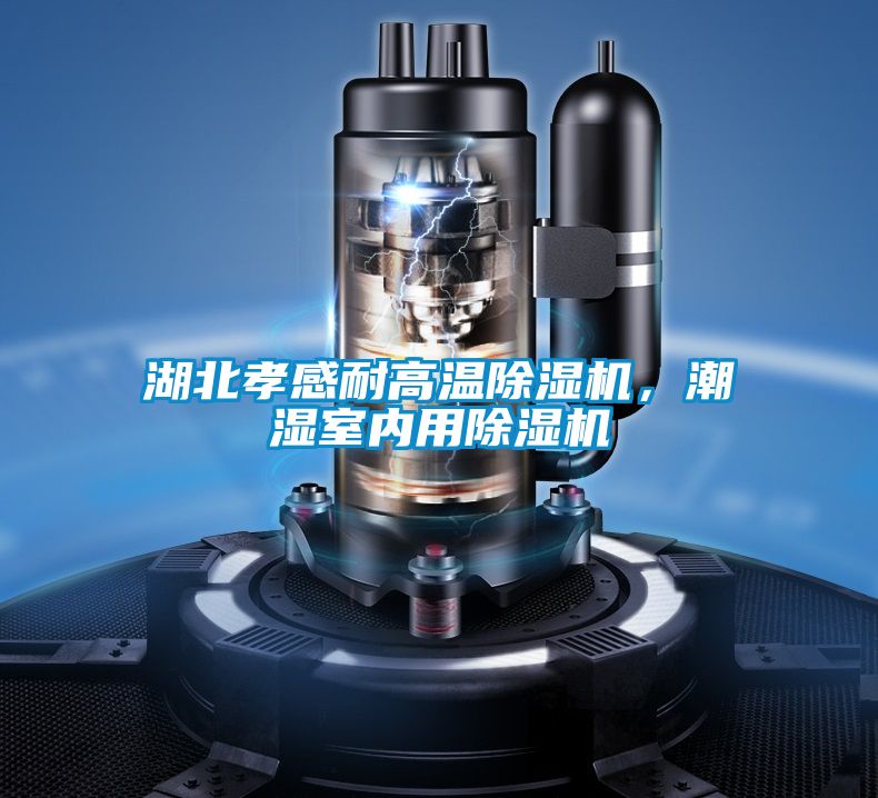 湖北孝感耐高溫除濕機，潮濕室內(nèi)用除濕機