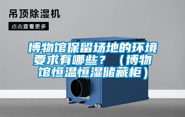 博物館保留場地的環(huán)境要求有哪些？（博物館恒溫恒濕儲藏柜）