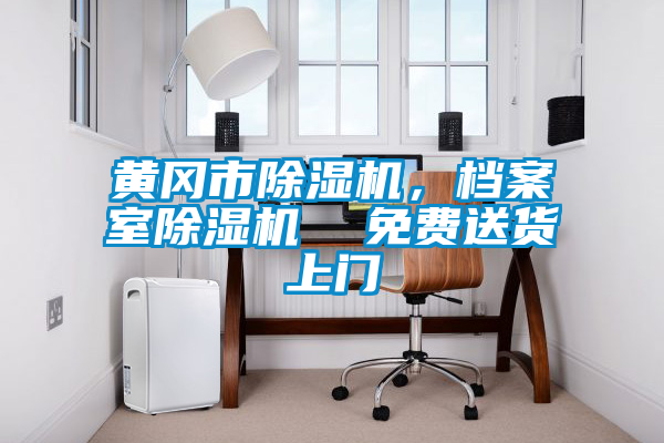 黃岡市除濕機(jī)，檔案室除濕機(jī)  免費(fèi)送貨上門