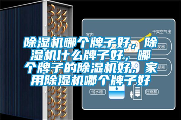 除濕機(jī)哪個牌子好，除濕機(jī)什么牌子好，哪個牌子的除濕機(jī)好，家用除濕機(jī)哪個牌子好