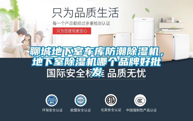 聊城地下室車庫防潮除濕機(jī)，地下室除濕機(jī)哪個品牌好批發(fā)
