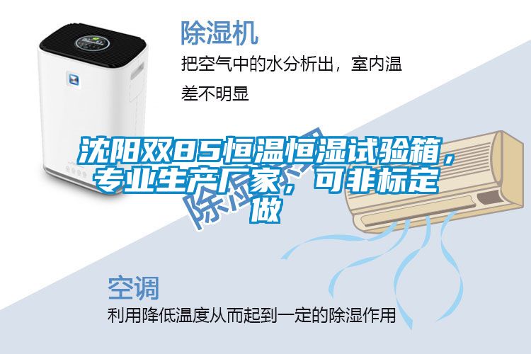 沈陽雙85恒溫恒濕試驗(yàn)箱，專業(yè)生產(chǎn)廠家，可非標(biāo)定做