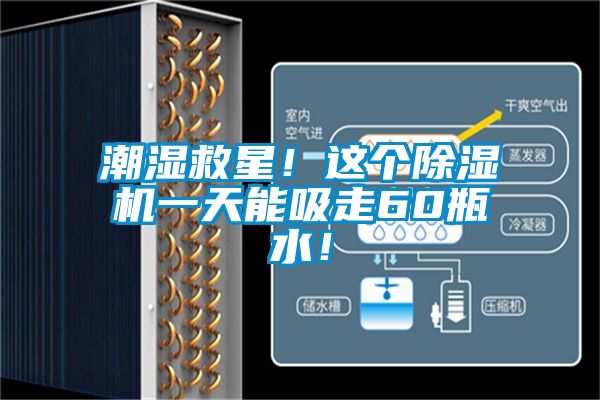 潮濕救星！這個(gè)除濕機(jī)一天能吸走60瓶水！