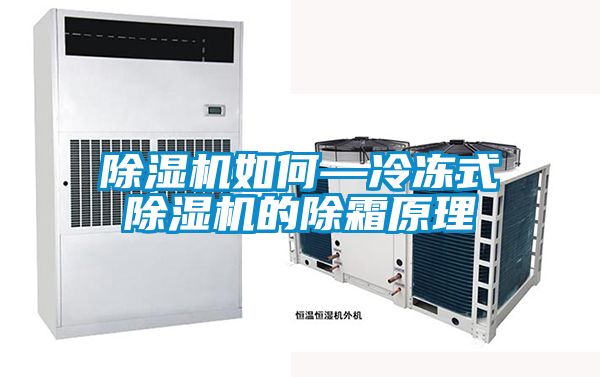 除濕機(jī)如何—冷凍式除濕機(jī)的除霜原理