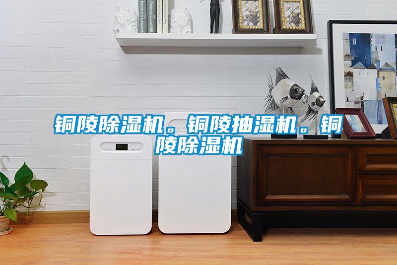 銅陵除濕機(jī)。銅陵抽濕機(jī)。銅陵除濕機(jī)