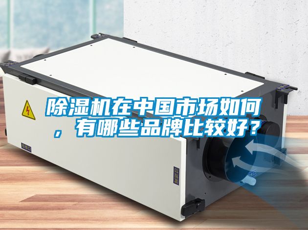 除濕機(jī)在中國(guó)市場(chǎng)如何，有哪些品牌比較好？