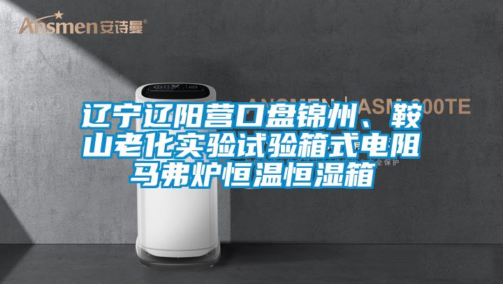 遼寧遼陽營口盤錦州、鞍山老化實(shí)驗(yàn)試驗(yàn)箱式電阻馬弗爐恒溫恒濕箱