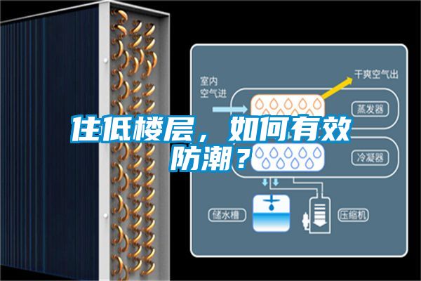 住低樓層，如何有效防潮？