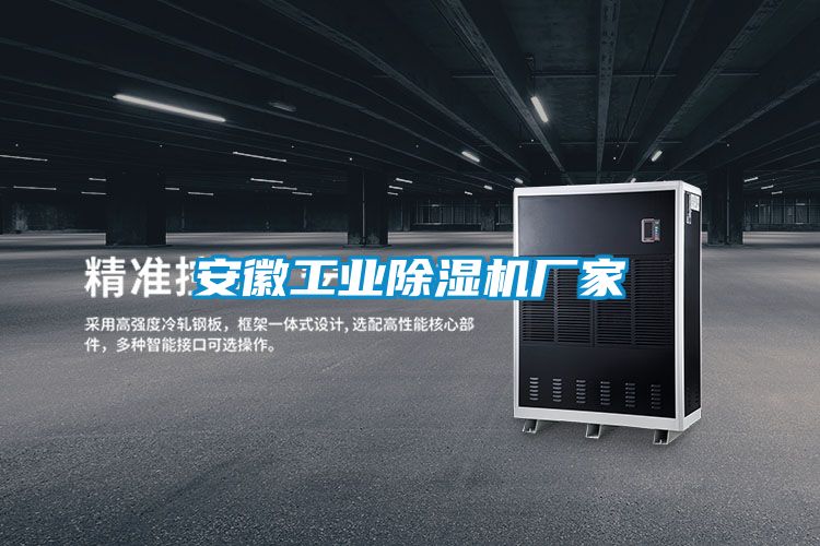 安徽工業(yè)除濕機(jī)廠(chǎng)家
